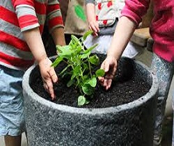 Online Organic Garden Workshop