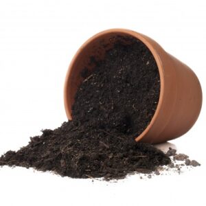 Potting Soil- 2 Kg
